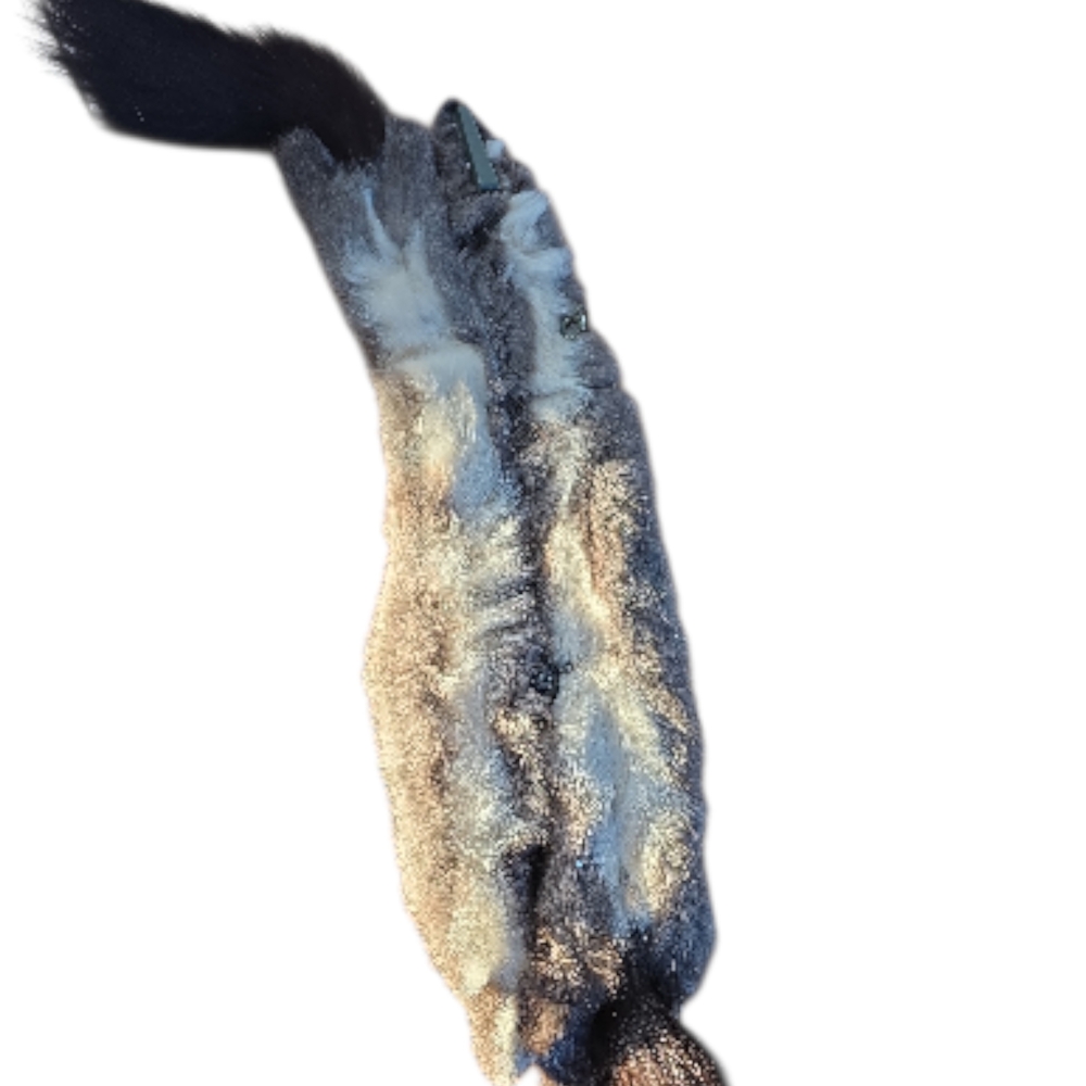 Vibtage Silver Fox Fur Stole/Wrap - Picture 3 of 3